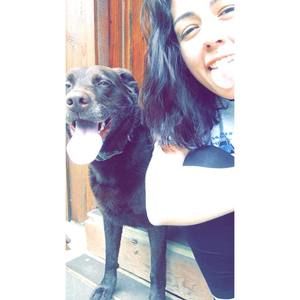 Meet your Posher, Morgan